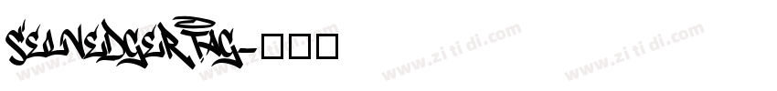 Selvedger Tag字体转换